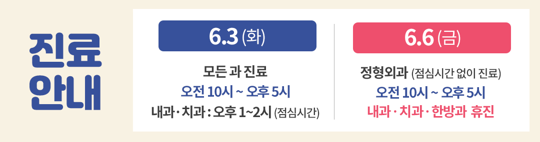 6월 대통령선거, 현충일 진료일정