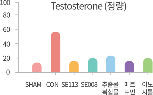 혈중 테스토스테론 · 안드로겐혈증 완화